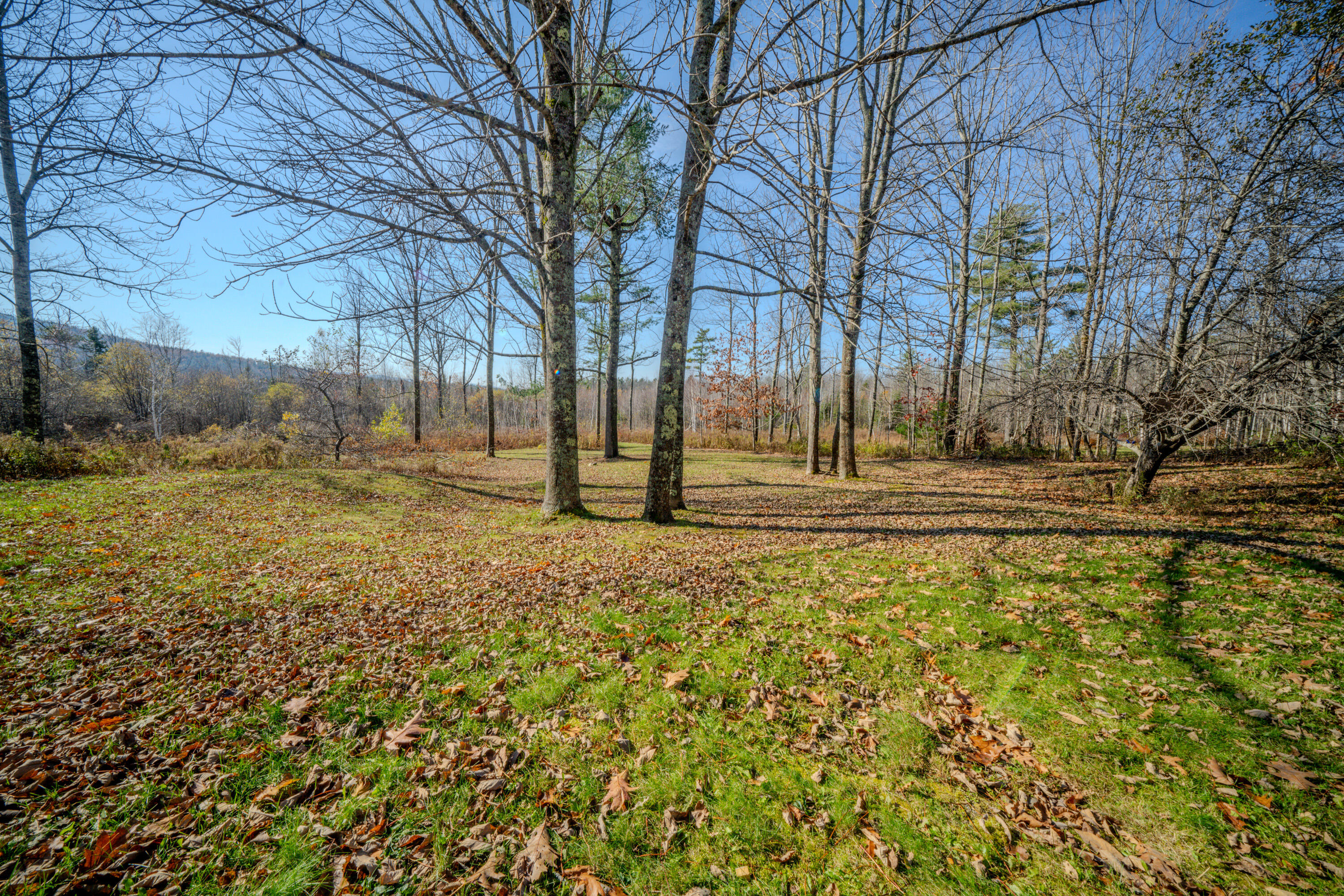 22 Leeman Road Northport, ME 04849 - Photo 9 of 57 3085