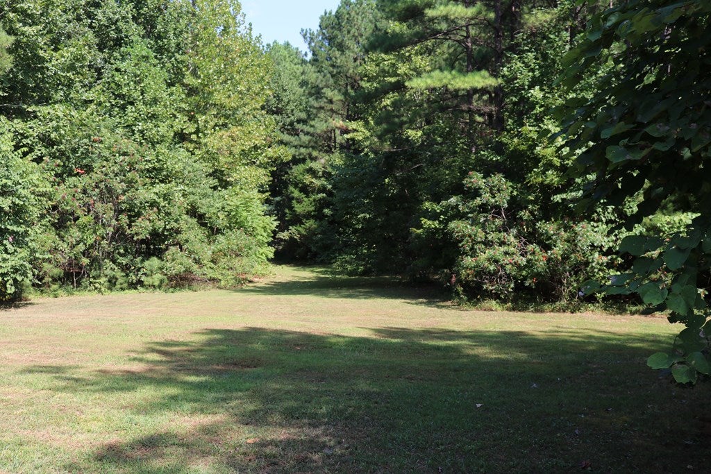 206 Scotts Bottom Road Dillwyn, VA 23936 - Photo 14 of 16 Gallery Image 14