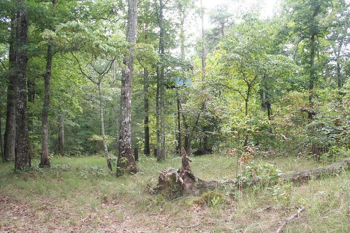 2862 Yankee Road Cloudland, GA 30731 - Photo 3 of 9 2862 Yankee Road 2