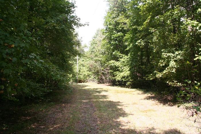 2862 Yankee Road Cloudland, GA 30731 - Photo 7 of 9 2862 Yankee Road 8