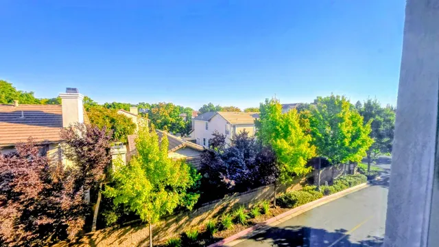 a view of a park with large trees