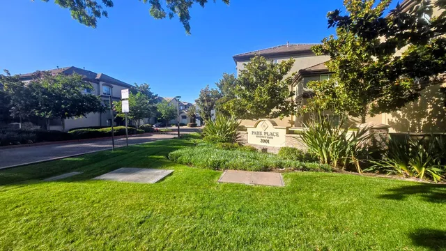 a view of a park with trees and a lake