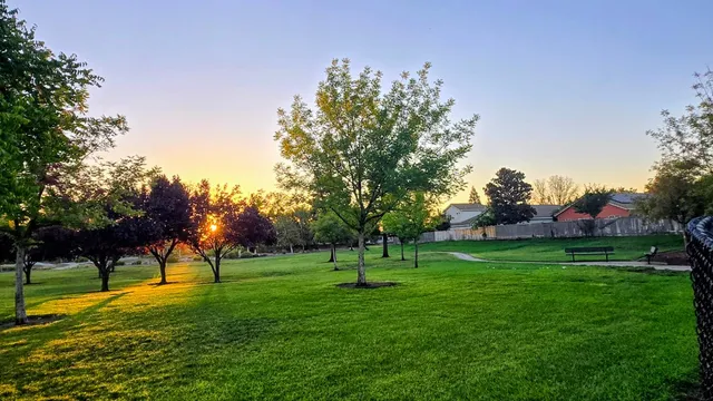 a big yard with lots of green space and trees