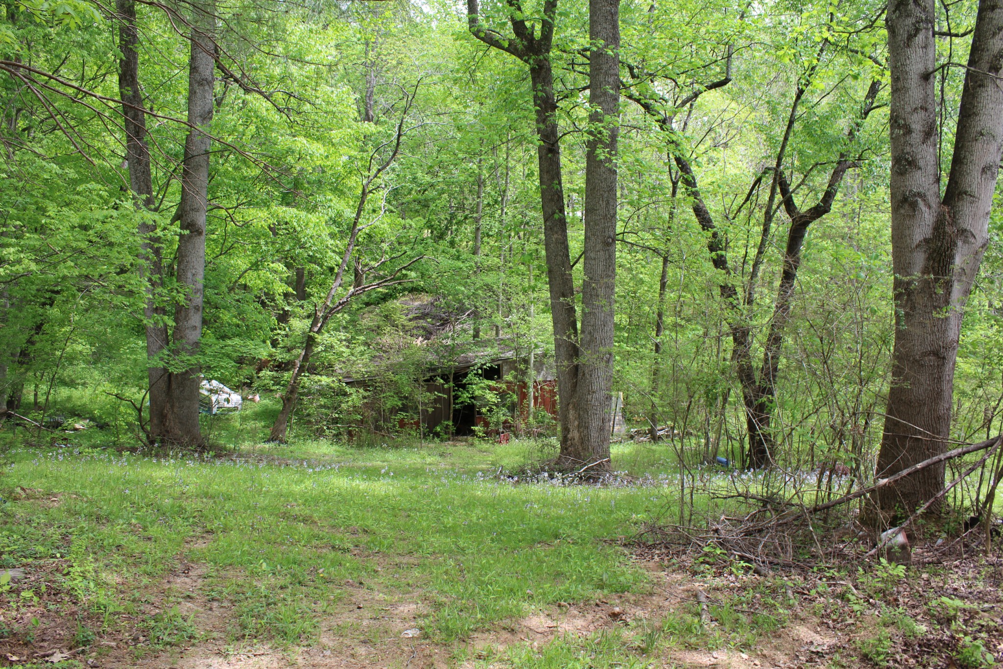 504 Wildlife Road Dover, TN 37058 - Photo 3 of 5 Gallery Image 3