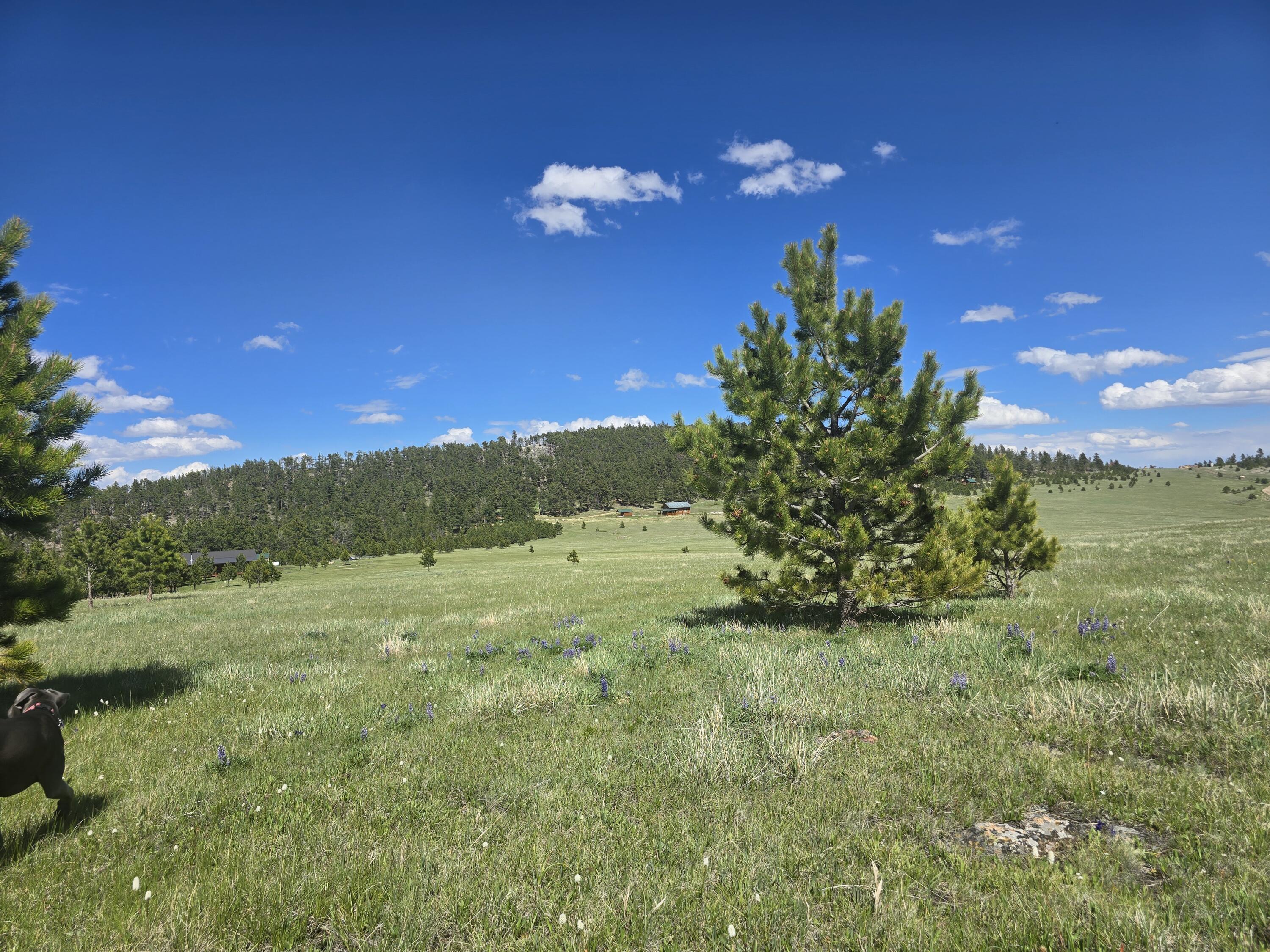 Yarrow Road Buffalo, WY 82834 - Photo 4 of 13 1000024211