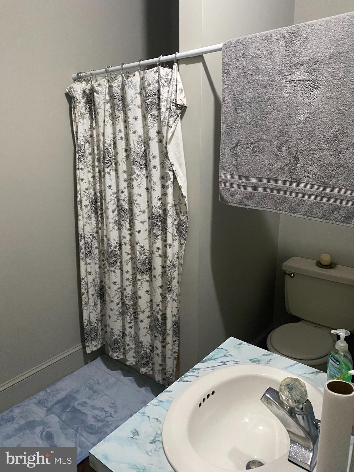 2 Dry Wells Road Christiana, PA 17509 - Photo 7 of 29 Main House - Lower level bathroom