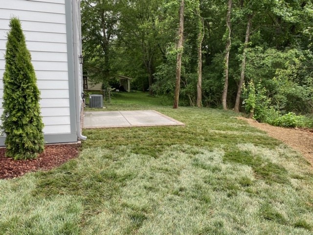 a view of backyard with green space