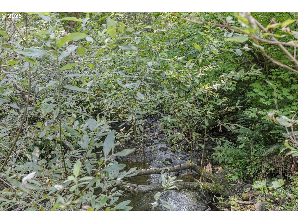 2524 Southeast Mannthey Road Corbett, OR 97019 - Photo 31 of 42