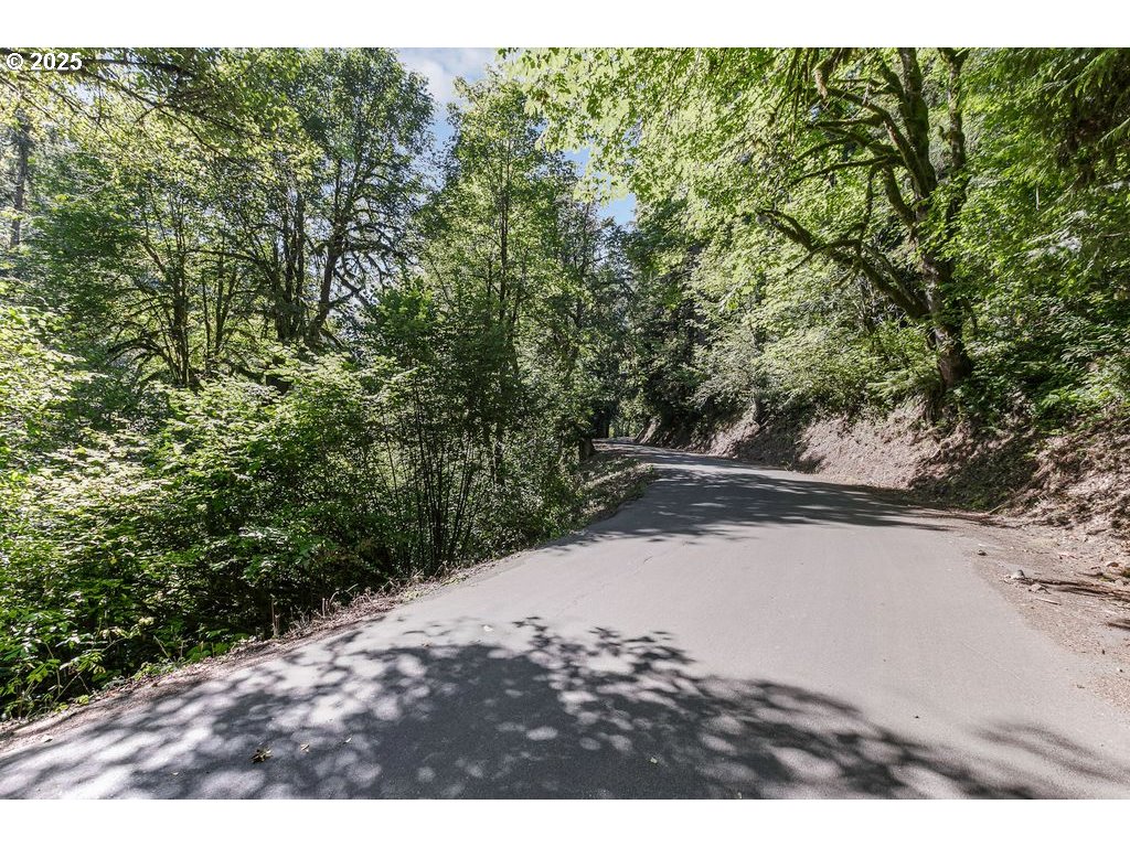 2524 Southeast Mannthey Road Corbett, OR 97019 - Photo 37 of 42