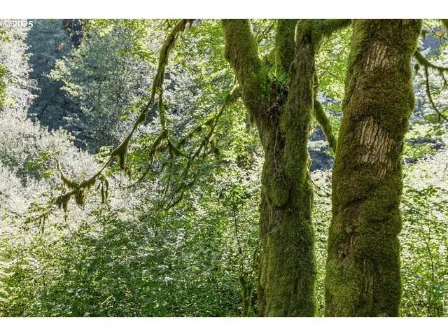 $699,000 | 2524 Southeast Mannthey Road, Corbett, OR 97019