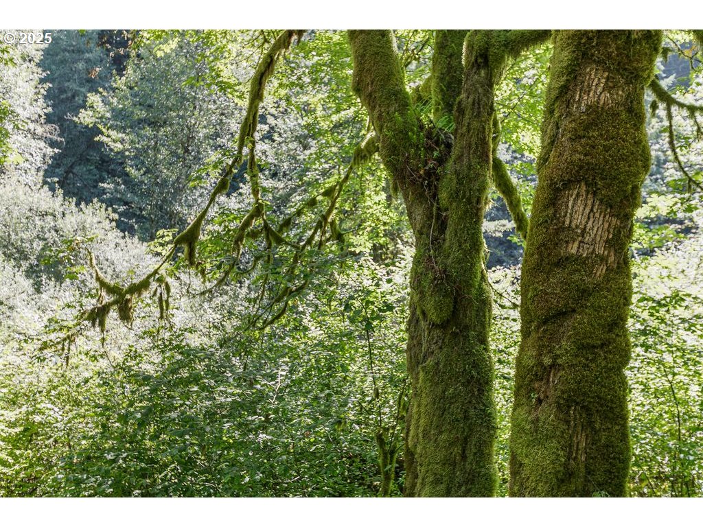 2524 Southeast Mannthey Road Corbett, OR 97019 - Photo 41 of 42