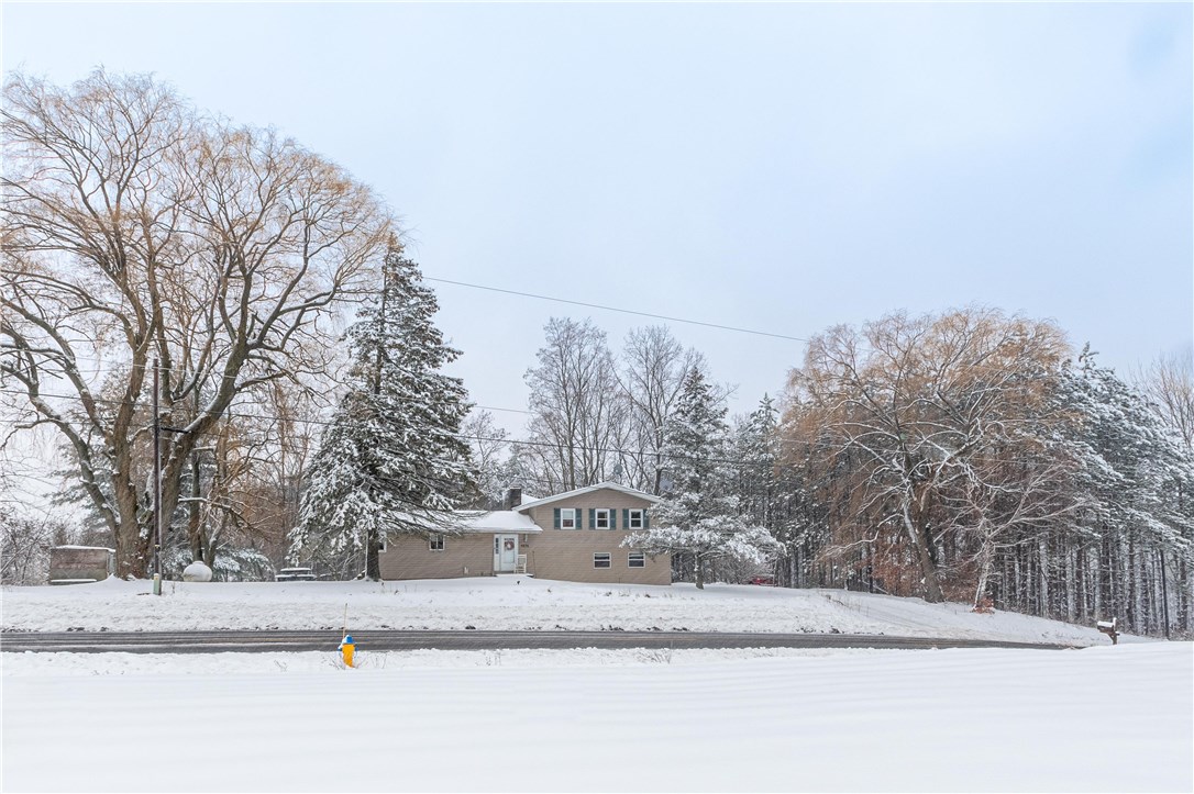 4676 Steel Point Road Marion, NY 14505 - Photo 1 of 1 Gallery Image 1