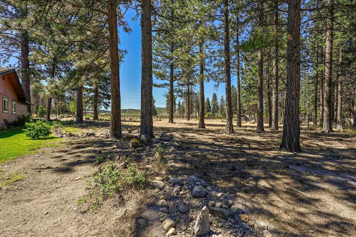 17855 Fisher Road Weed, CA 96094 - Photo 27 of 43 Gallery Image 27