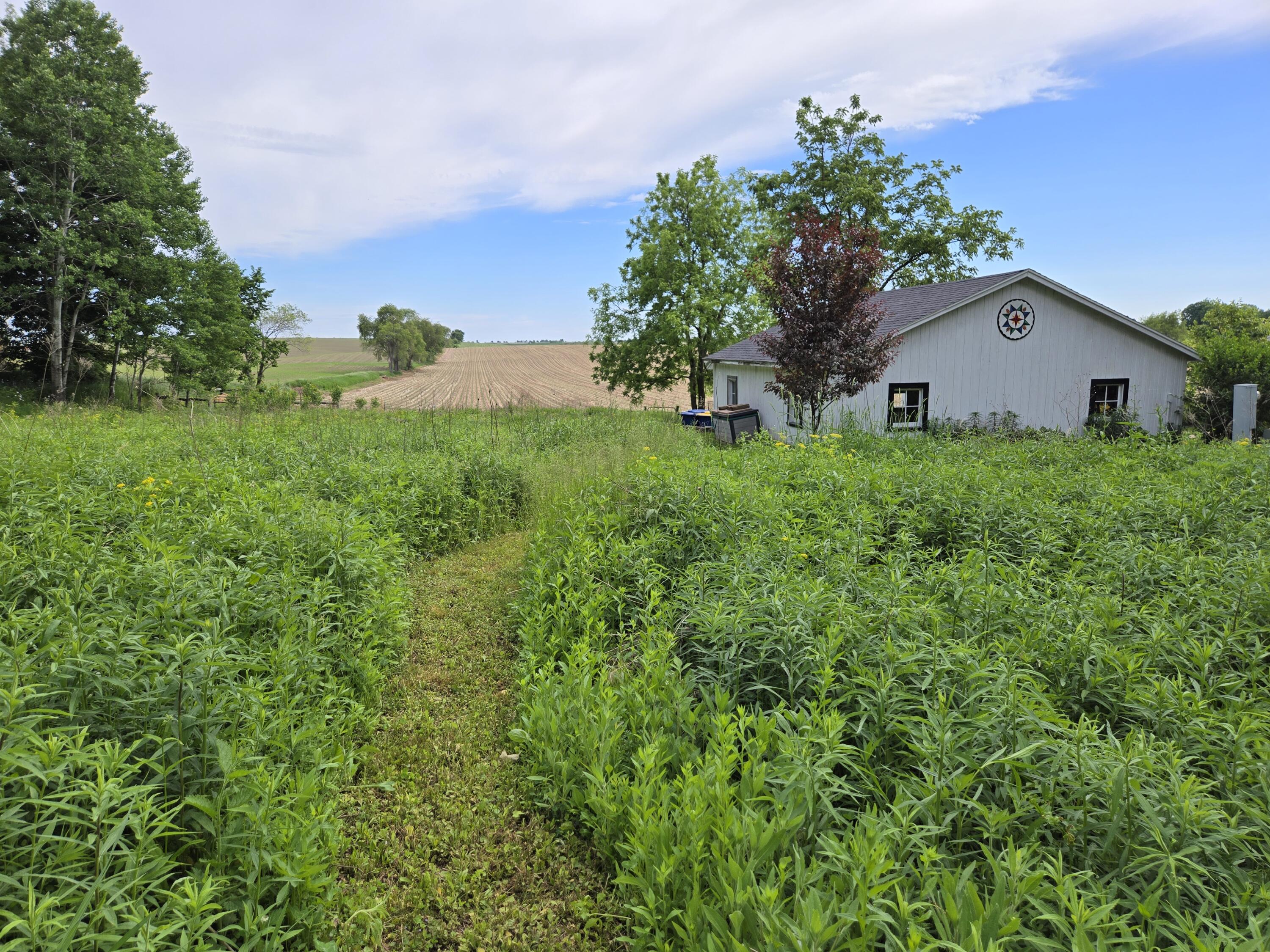 E6791 A County Road Viroqua, WI 54665 - Photo 55 of 61 Native Prairie