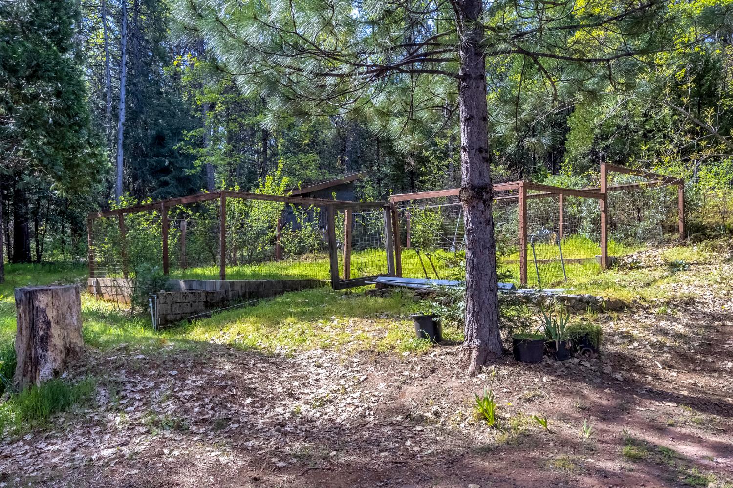 12081 Robust Way Nevada City, CA 95959 - Photo 32 of 39 a view of a park