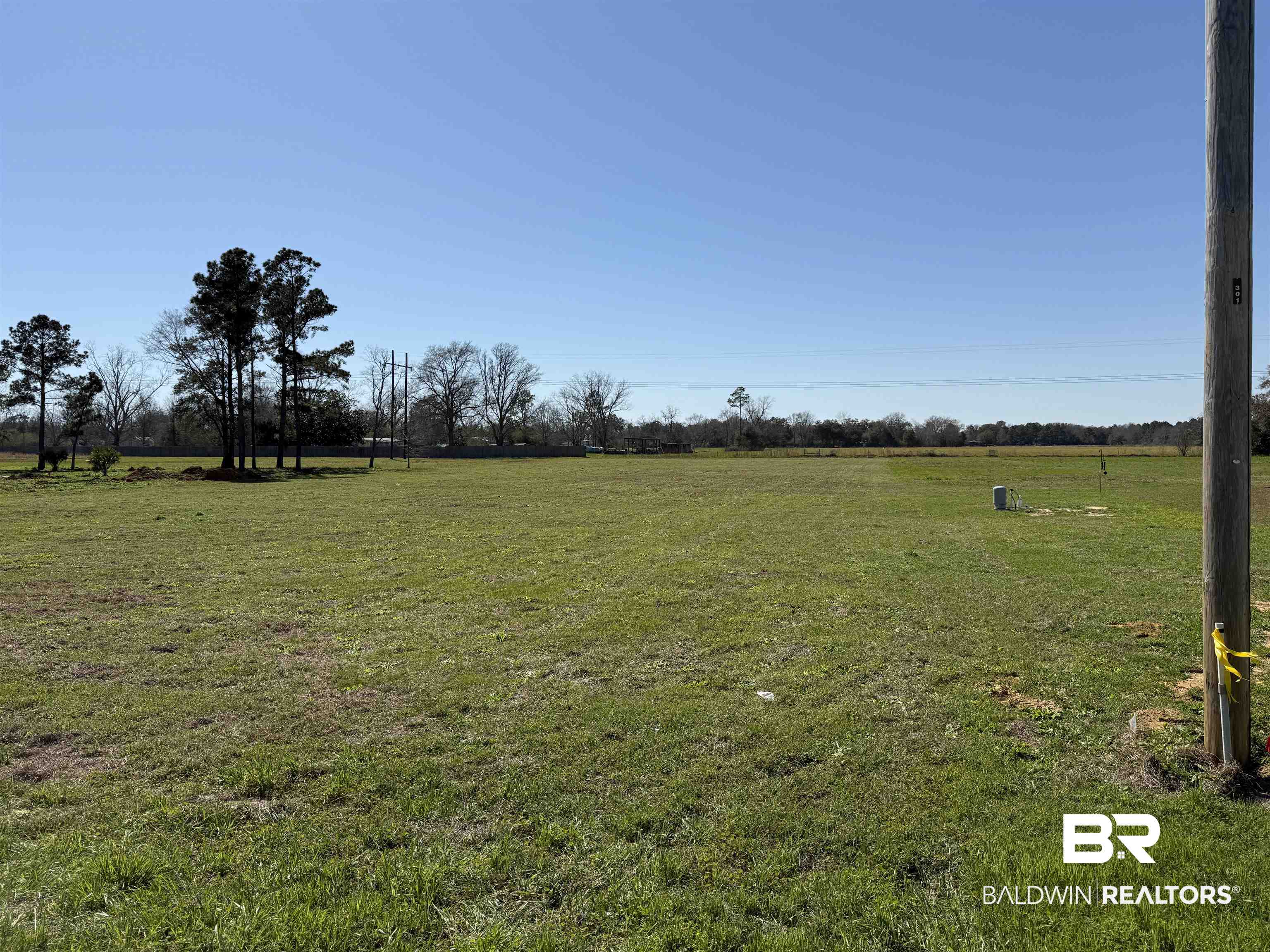 0 Gopher Court Elberta, AL 36530 - Photo 3 of 4