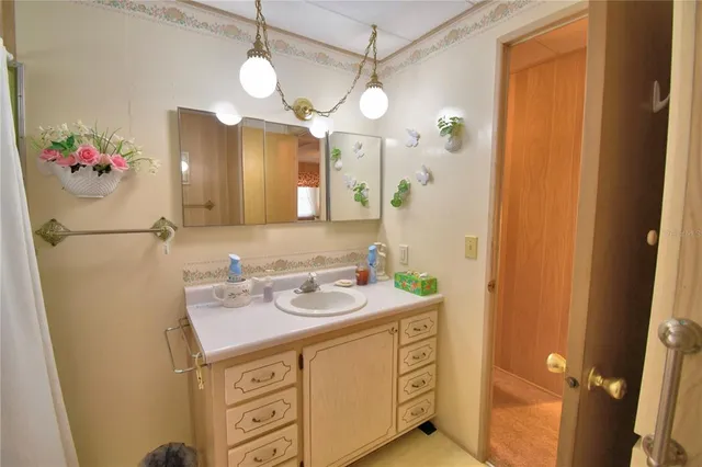 a bathroom with a sink vanity and a mirror
