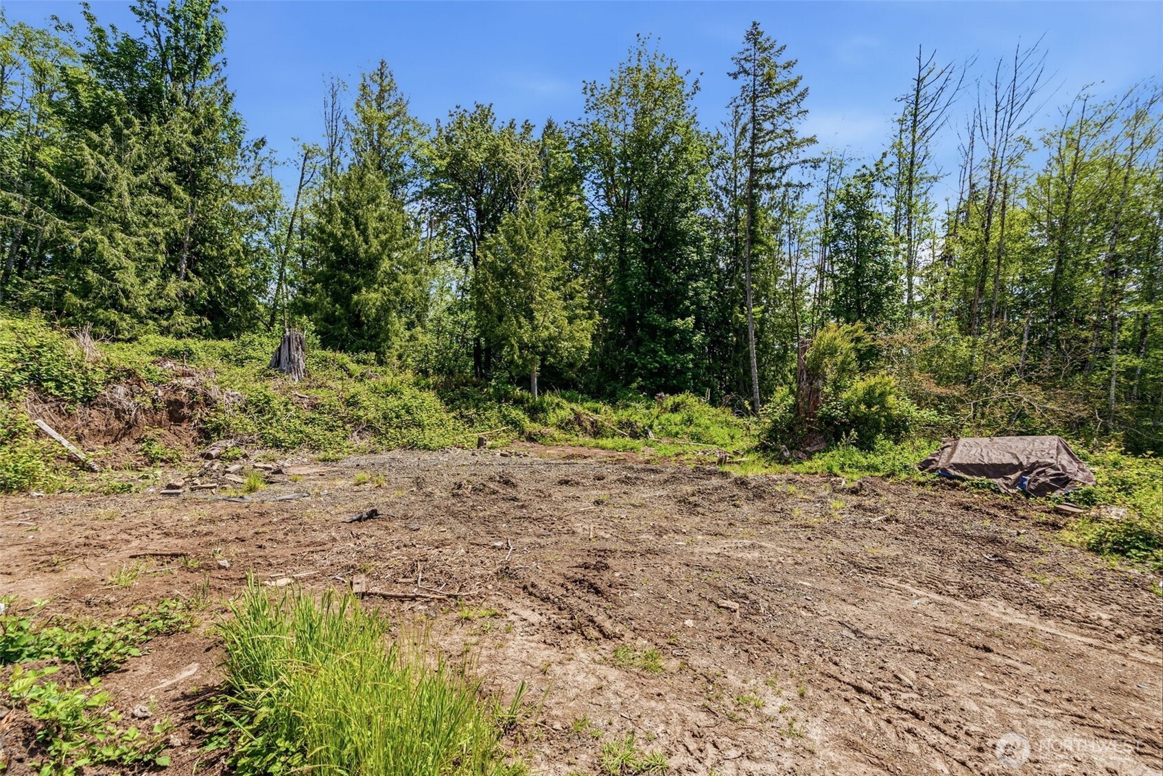 303 Upper West Road Castle Rock, WA 98611 - Photo 9 of 19