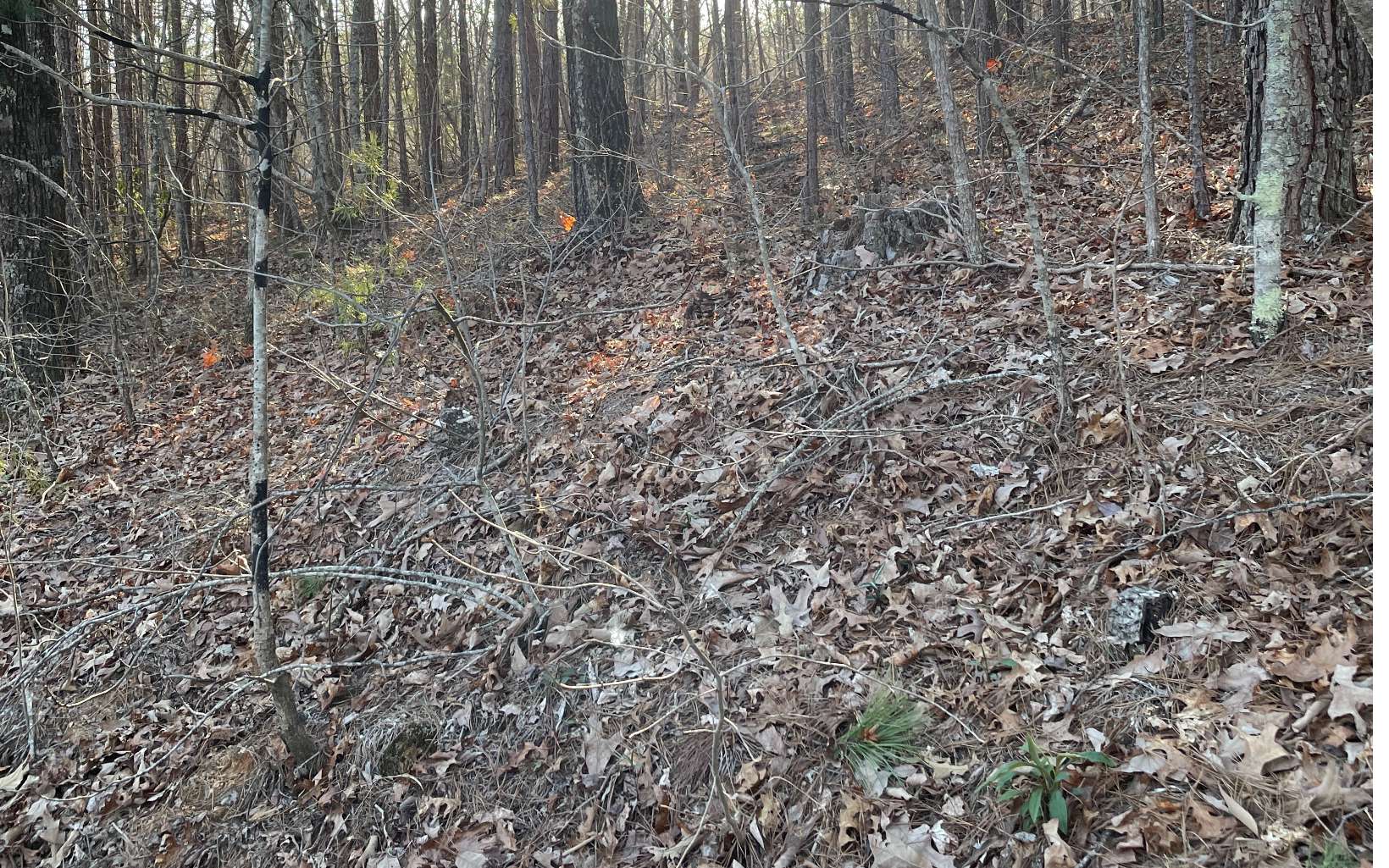 13 Hawkeye Ridge Blue Ridge, GA 30513 - Photo 3 of 4 Additional View
