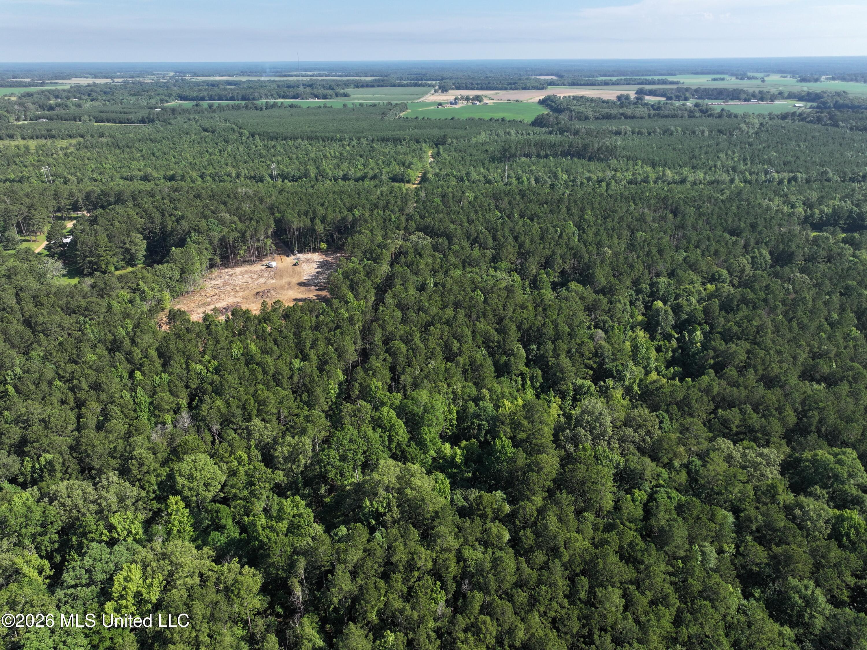 J C Prestage Road Pelahatchie, MS 39145 - Photo 11 of 24 74360DCA-4A2F-4864-A72B-FA3C2B6E67AF