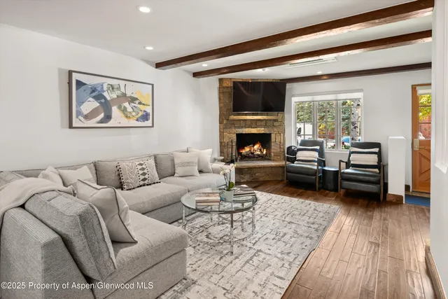 a living room with furniture and a fireplace