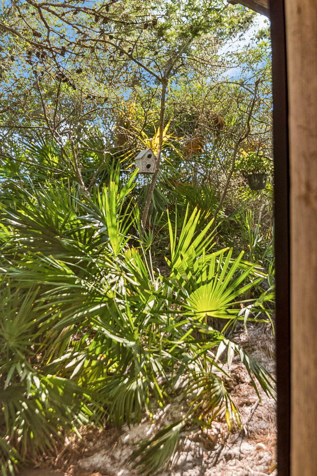 70 Gulf Ridge Drive Santa Rosa Beach, FL 32459 - Photo 62 of 81 Array_79GulfRidgeDr-74