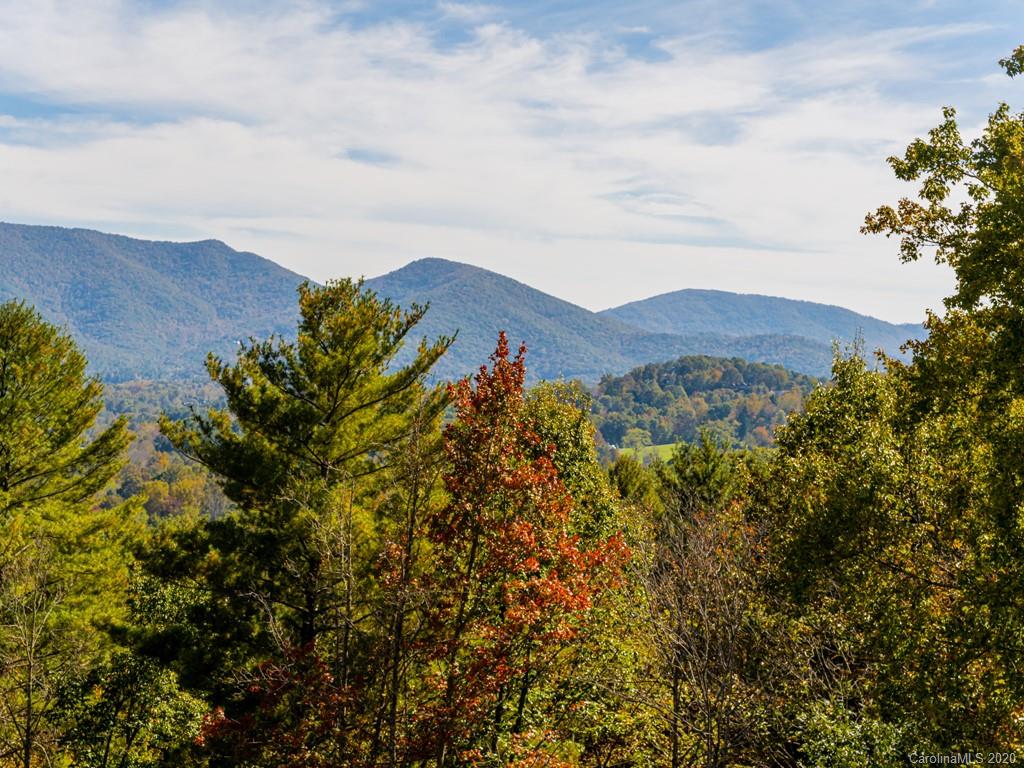 81 Fox Den Road Asheville, NC 28805 - Photo 34 of 47 Gallery Image 34