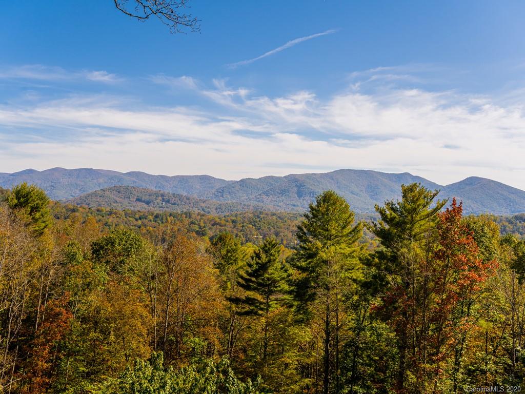 81 Fox Den Road Asheville, NC 28805 - Photo 5 of 47 Gallery Image 5