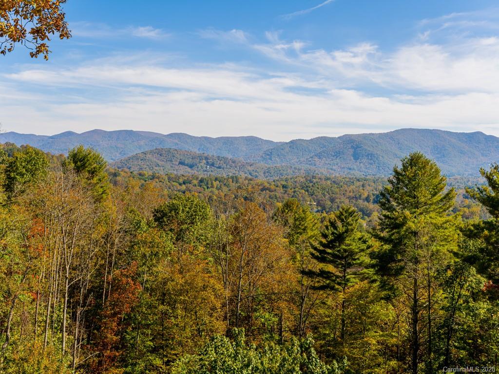 81 Fox Den Road Asheville, NC 28805 - Photo 7 of 47 Gallery Image 7
