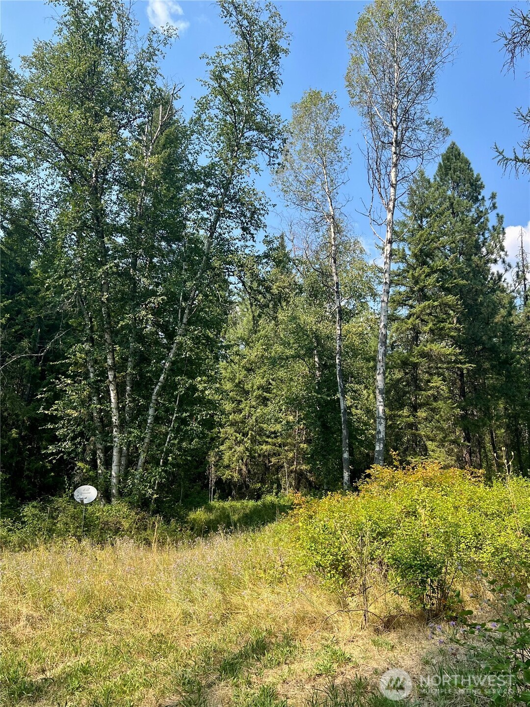3891 R Cedar Creek Road Colville, WA 99114 - Photo 9 of 11 Gallery Image 9