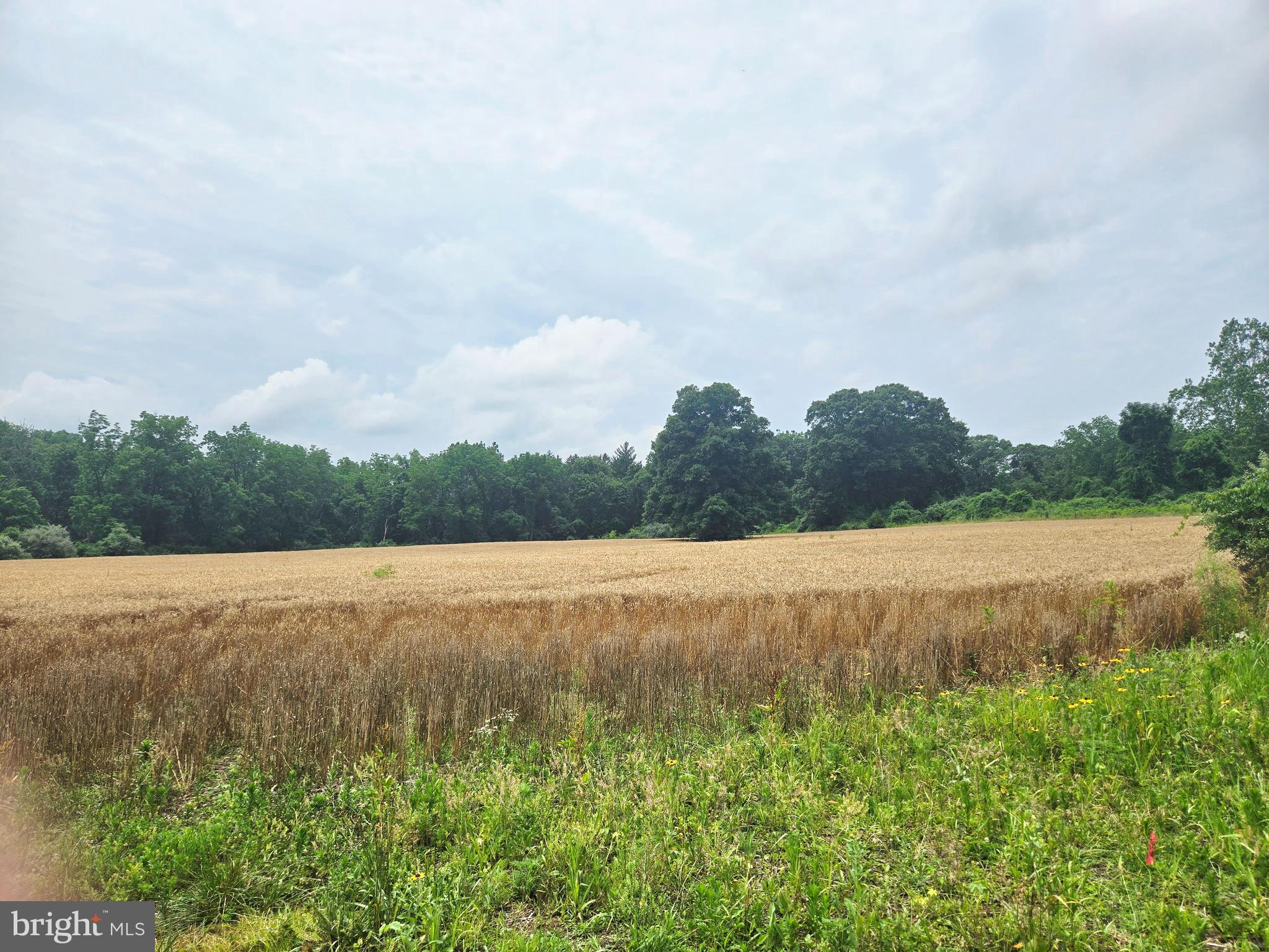6750 Phillips Mill Road New Hope, PA 18938 - Photo 18 of 26 Side Pasture
