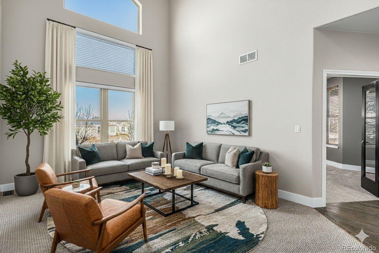 12665 South Robinson Ranch Boulevard Parker, CO 80134 - Photo 16 of 38 a living room with furniture and a potted plant