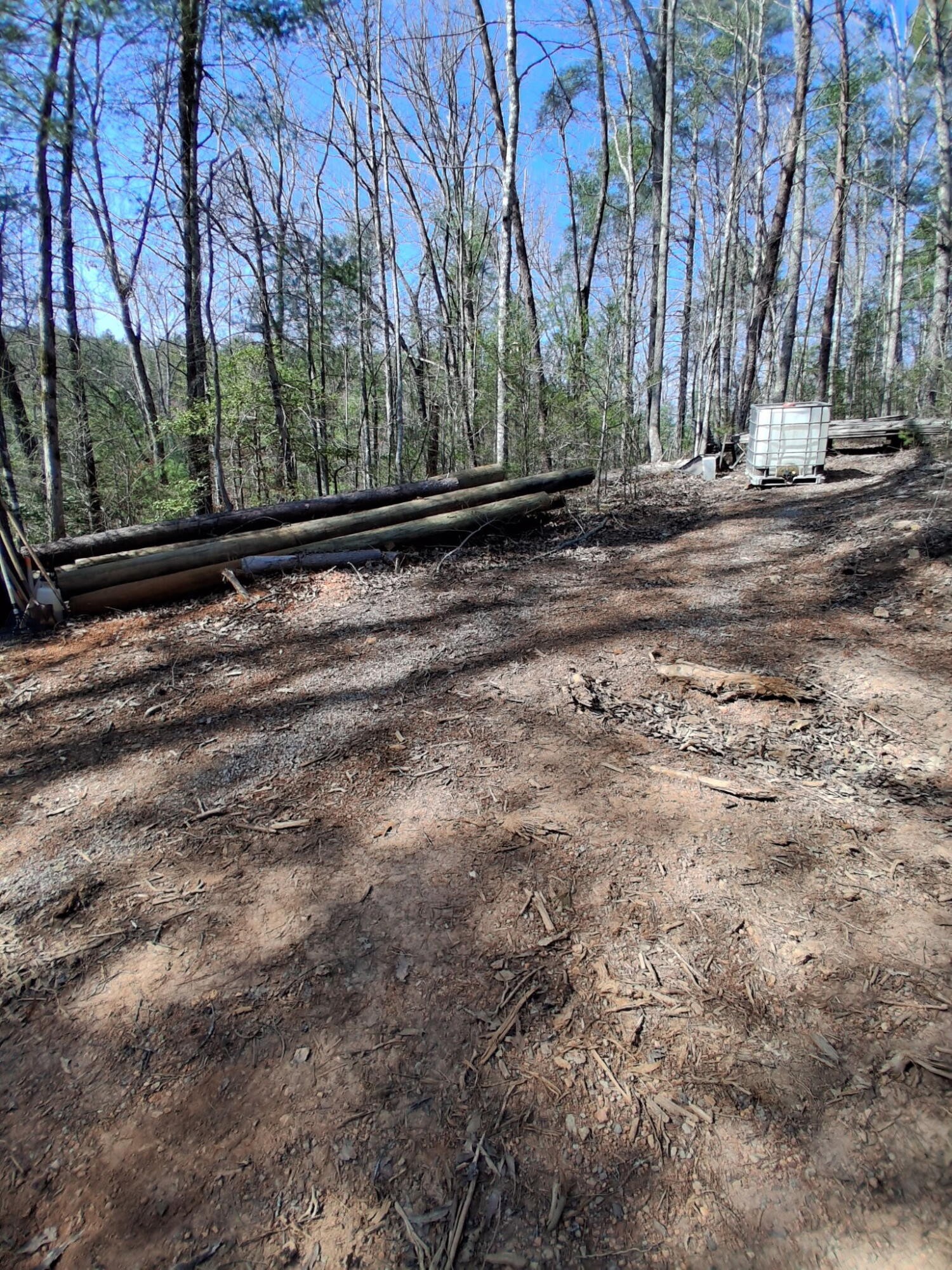 0 Tinker Branch Road Reliance, TN 37369 - Photo 12 of 17