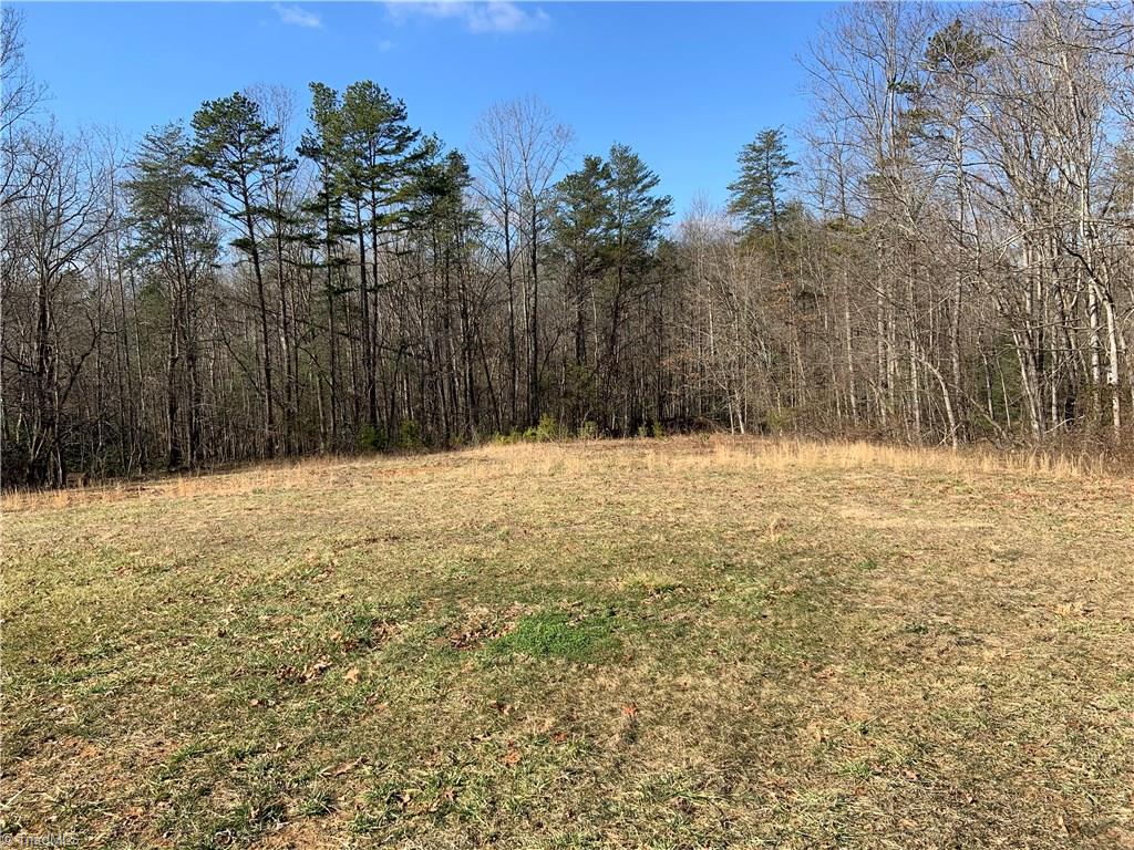 219 Sexton Road Mount Airy, NC 27030 - Photo 19 of 25 Gallery Image 19