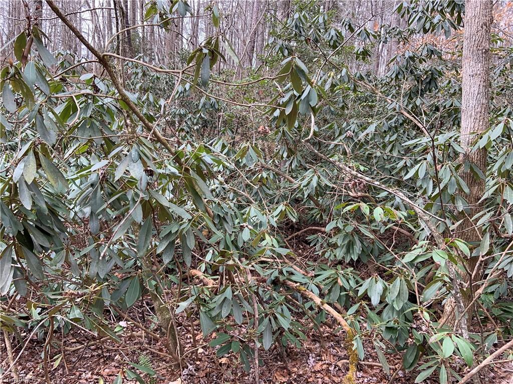 219 Sexton Road Mount Airy, NC 27030 - Photo 24 of 25 Gallery Image 24