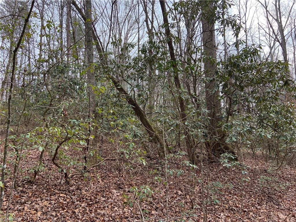 219 Sexton Road Mount Airy, NC 27030 - Photo 25 of 25 Gallery Image 25