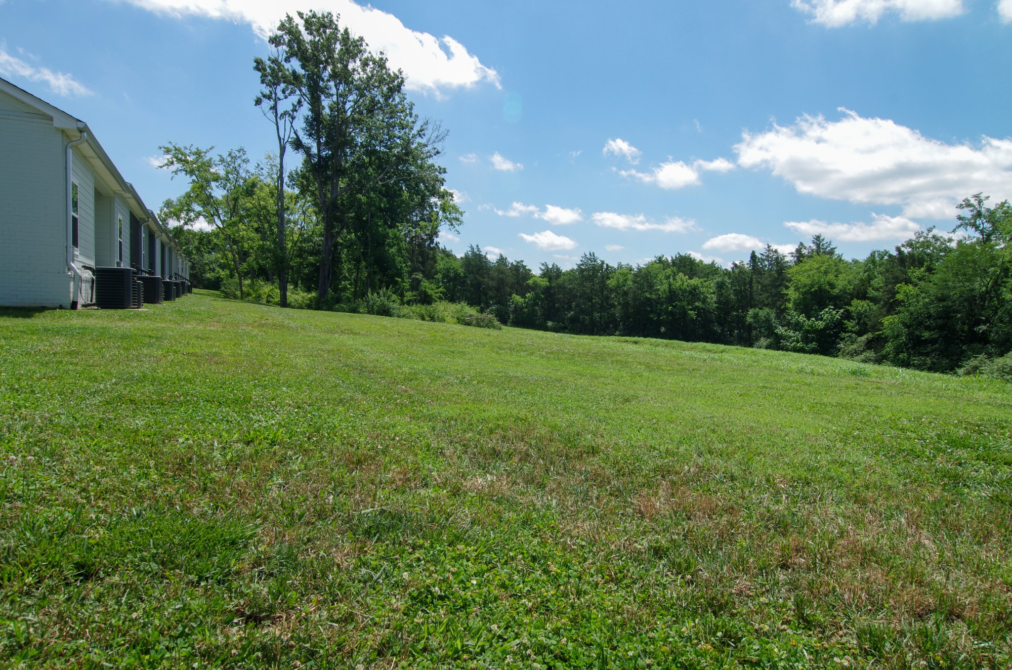 1144 Lock 4 Road, Unit H1 Gallatin, TN 37066 - Photo 20 of 24 a view of a field of grass and a tree