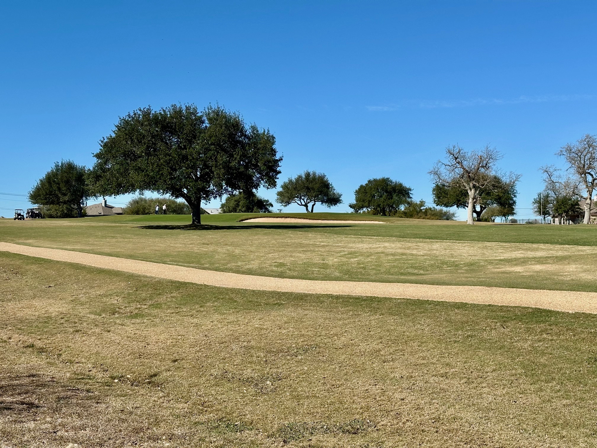 117 Warren Wallace Blanco, TX 78606 - Photo 4 of 20 View of Golf Course from Lot.