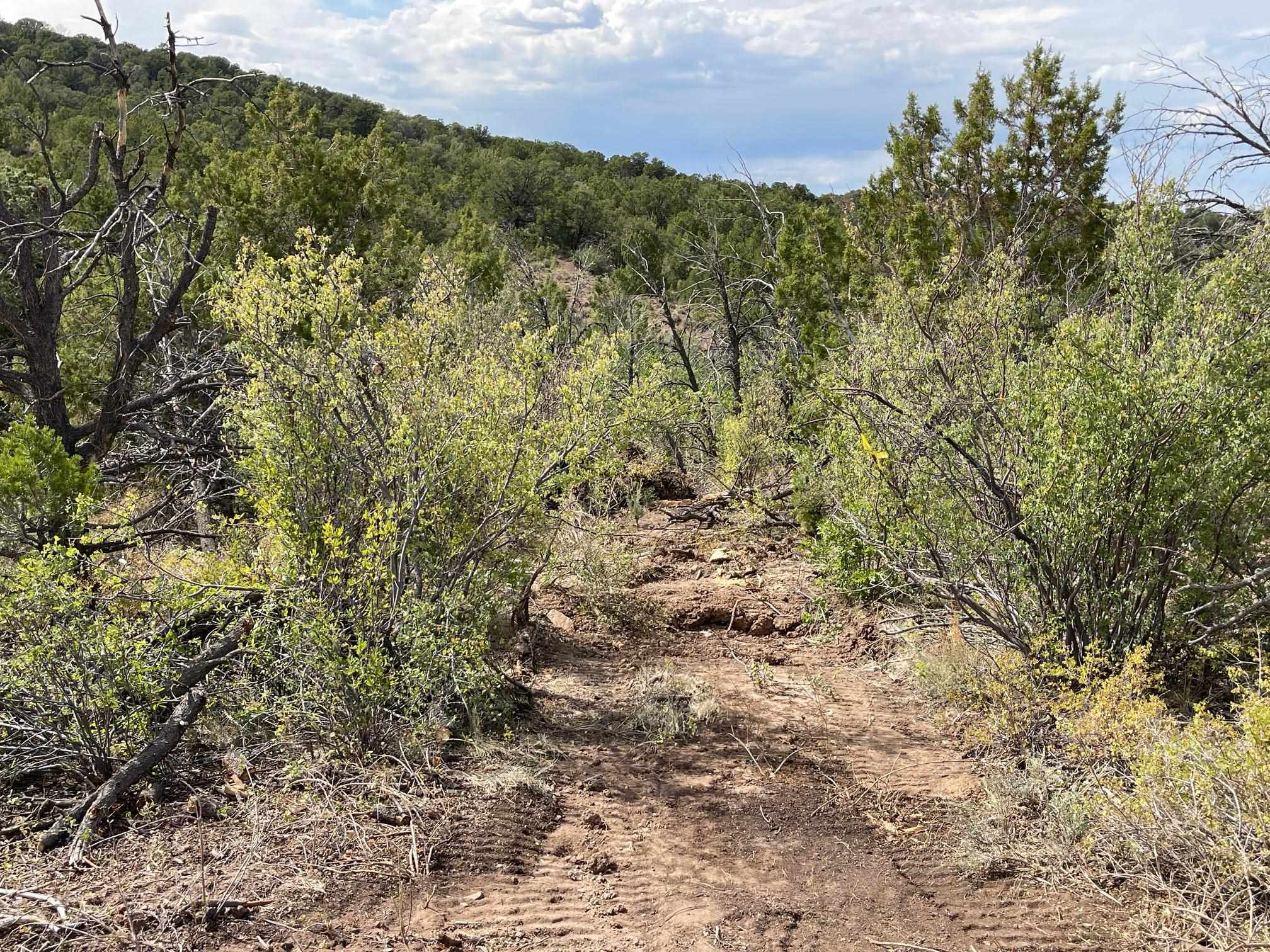 18973 Elk Reserve Road Glade Park, CO 81523 - Photo 11 of 21