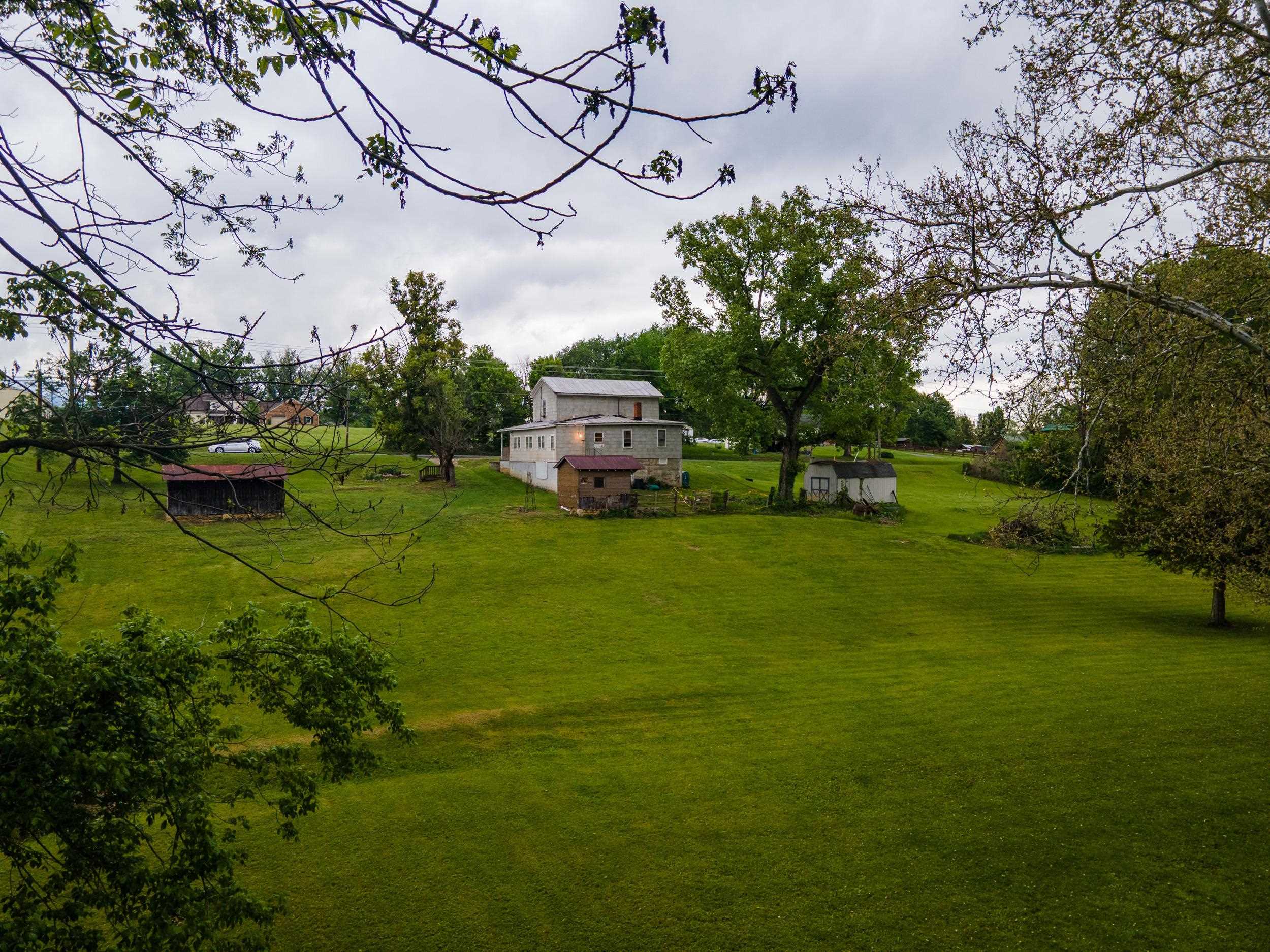13896 Rockingham Pike Elkton, VA 22827 - Photo 10 of 60 a view of a big yard with potted plants and large trees