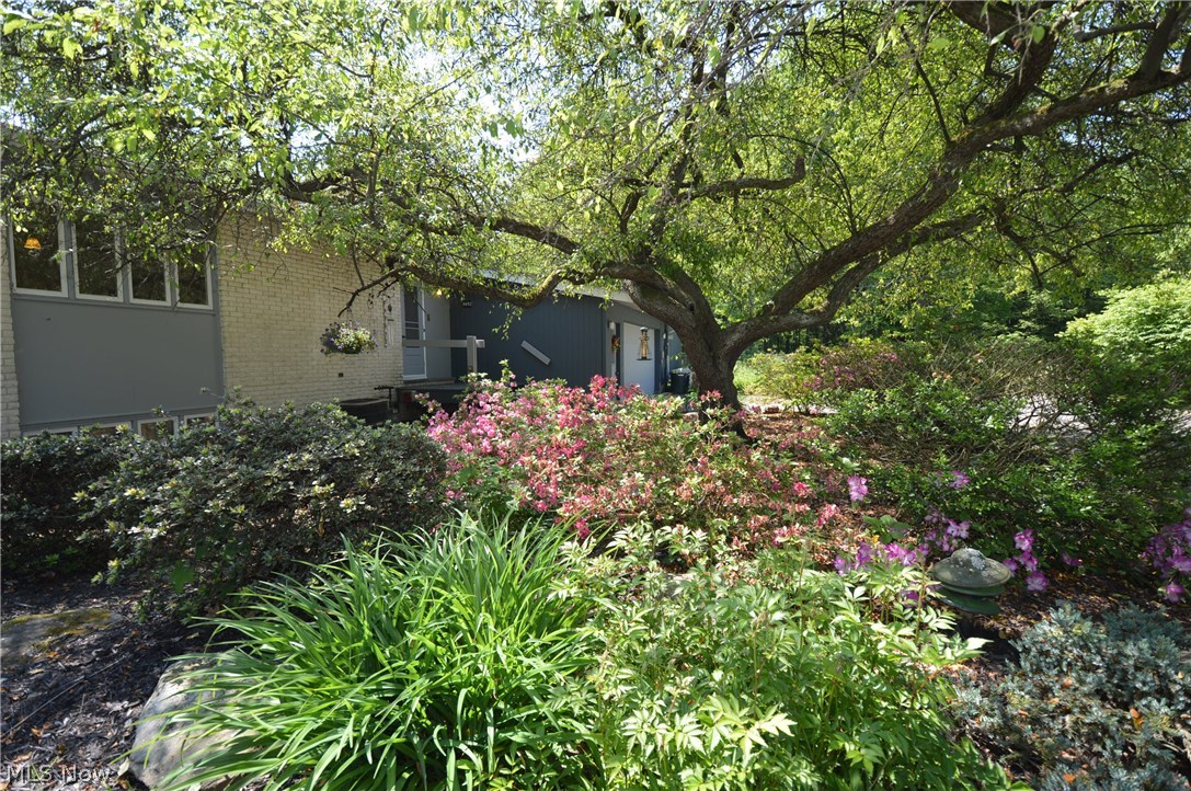 9652 Wolfe Road Windham, OH 44288 - Photo 24 of 35 Gallery Image 24