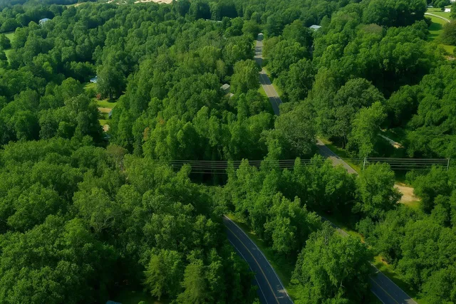 $60,000 | 3734 Highway 41, Ringgold, GA 30736