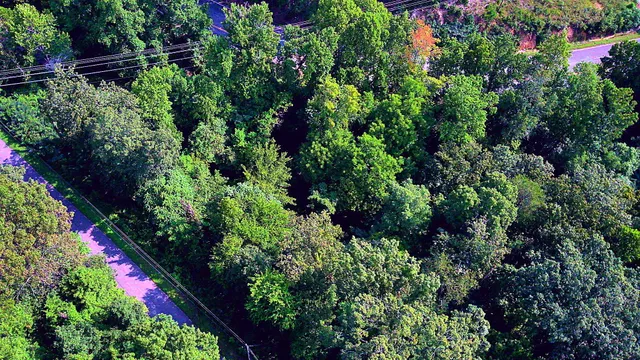 $60,000 | 3734 Highway 41, Ringgold, GA 30736