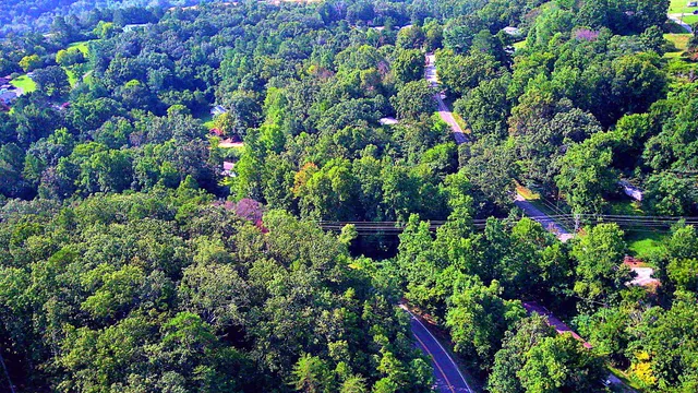 $60,000 | 3734 Highway 41, Ringgold, GA 30736