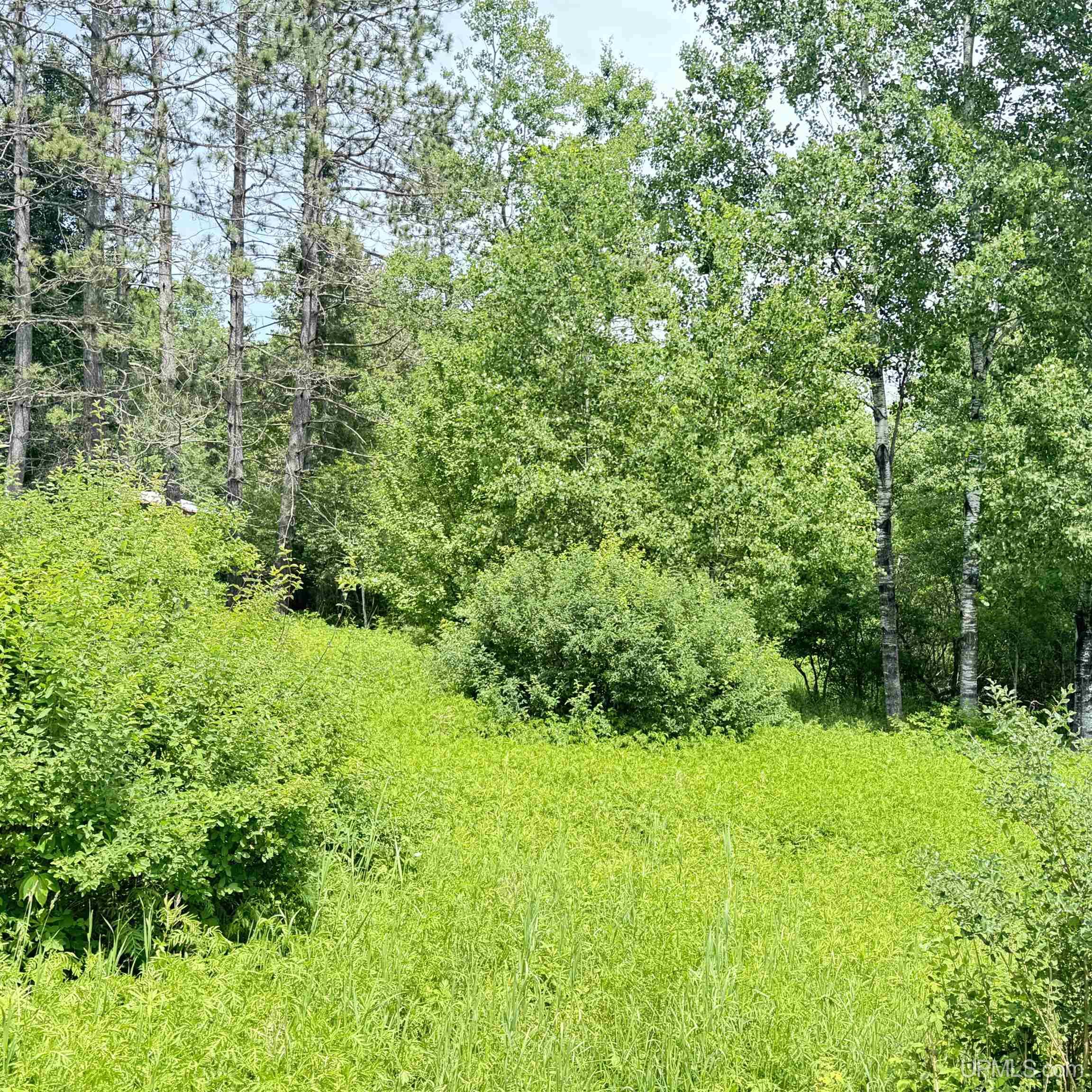 1669 Kofmehl Road Iron River, MI 49935 - Photo 39 of 49
