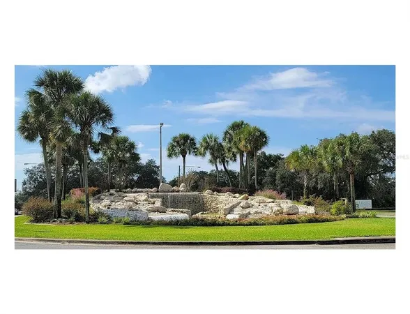a view of a park with large trees