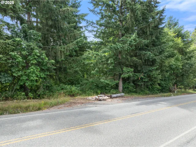 $164,900 | 148 Burnt Ridge Road, Onalaska, WA 98570