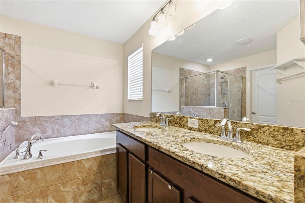 10135 Newminster Loop Ruskin, FL 33573 - Photo 21 of 35 a bathroom with a granite countertop bathtub sink and mirror