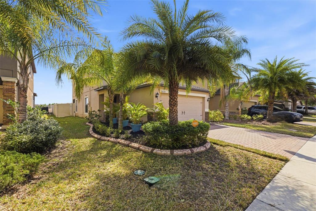 10135 Newminster Loop Ruskin, FL 33573 - Photo 3 of 35 a view of a yard in front of a house