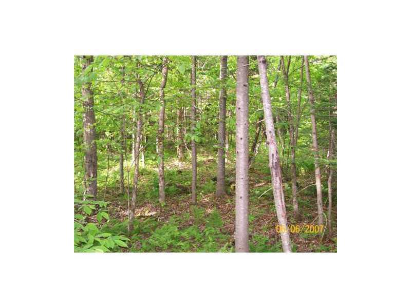 Lot 5 Turner Road Sangerville, ME 04479 - Photo 3 of 19 Land.